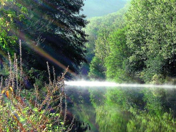 Spiritus Sanctus #1 : vous serez baptisés dans l&rsquo;Esprit&nbsp;Saint